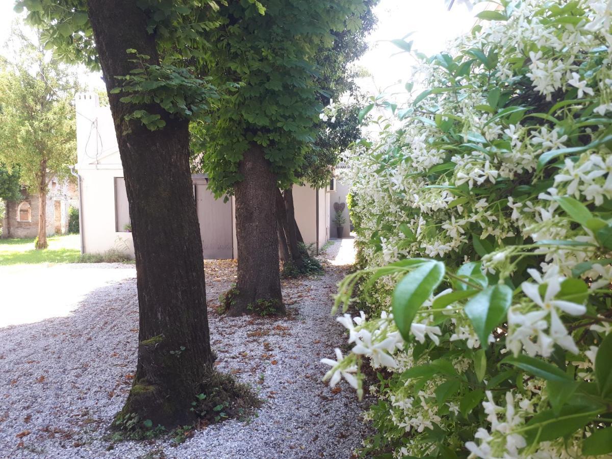 Villa Fiorentino Padua Exteriör bild